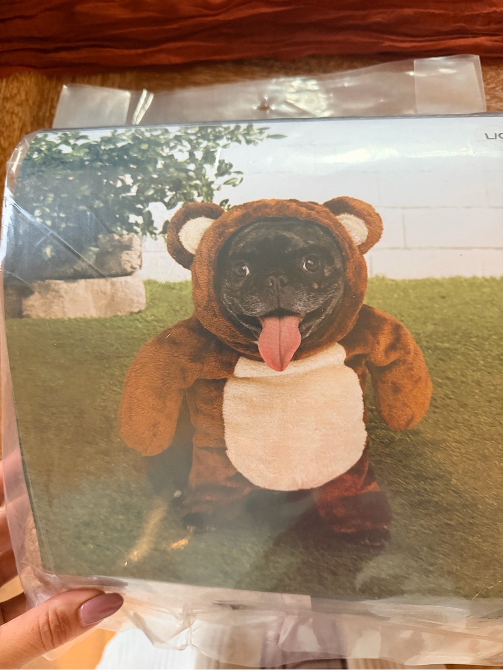 Plush Brown Bear Pet Costume - Soft Brown and Cream Outfit